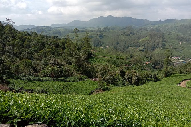 Munnar Mountain Trekking - Logistics that actually matter: meeting point, ticket, and weather