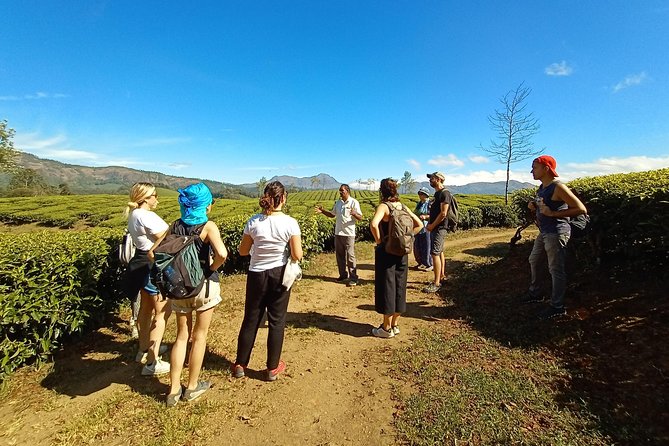 Munnar Mountain Trekking - What to bring for a smooth Munnar mountain trek