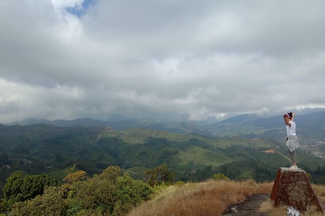 Munnar Mountain Trekking - Rain-forest and grassland sections: where the photos actually come alive