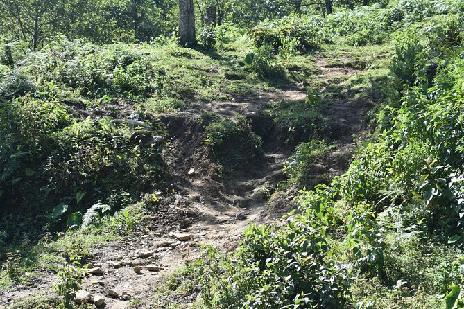 Muong Hoa Valley View & Village Trek in Sapa 1 Day - Hang Da Village at 1,800+ Meters: Cloud-Hunting on a Gentle Path