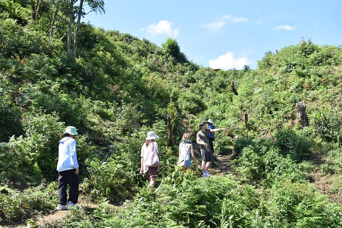 Muong Hoa Valley View & Village Trek in Sapa 1 Day - Hau Thao Rice Terraces and a Sea of White Clouds