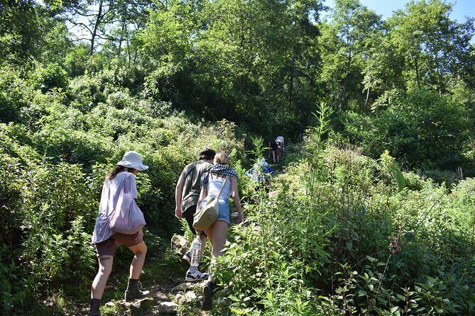Muong Hoa Valley View & Village Trek in Sapa 1 Day - Food on the Trail: Lunch Included, Vegetarian on Request
