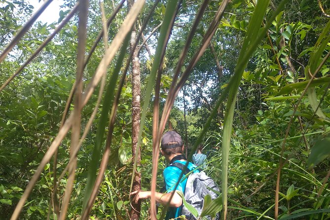 My Son sanctuary and mountain trekking - The Trek Route: Hidden Paths, Quiet Streams, and Wildlife Moments