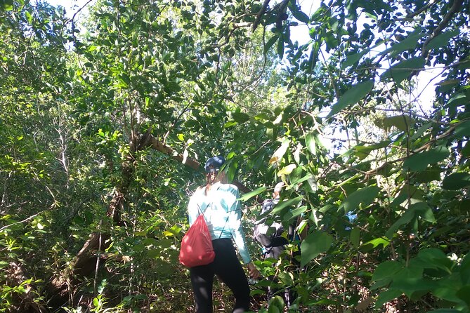 My Son sanctuary and mountain trekking - BBQ by the Stream: When the Hike Turns Into a Hangout