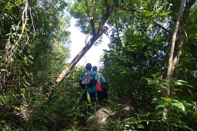 My Son sanctuary and mountain trekking - Meals and Drinks: What’s Included (and Why That’s Good Value)
