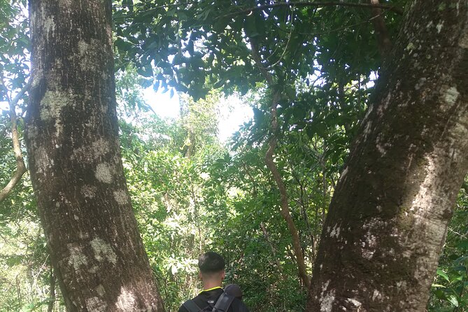 My Son sanctuary and mountain trekking - Price and Logistics in Plain Terms