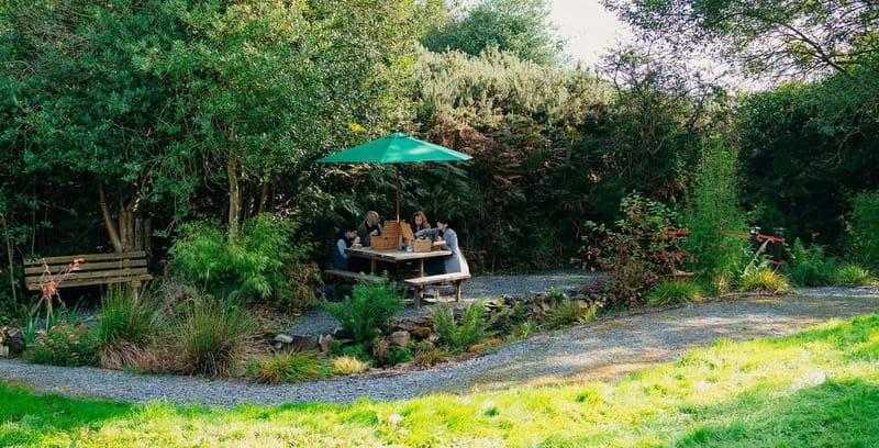 N. Ireland: Award Winning Guided Scenic Alpaca Trekking - Wheelchair access and families: why this trail works for more than just hikers