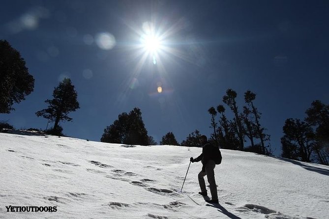 Naag Tibba Trek - Key highlights you’ll actually care about