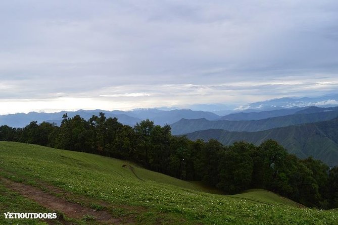 Naag Tibba Trekking and Hiking 2 Nights and 3 Days - Day 1: Pantwari to Naag Tibba Base—forest walking and early acclimation