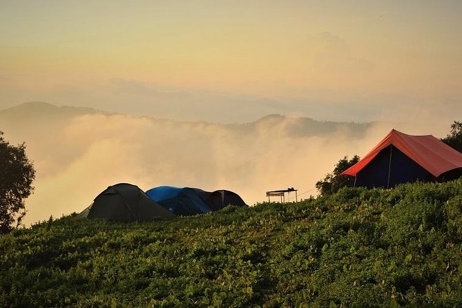 Nag Tibba 2 Days Trek (Pantwari to Pantwari) - Quick Hits Before You Go