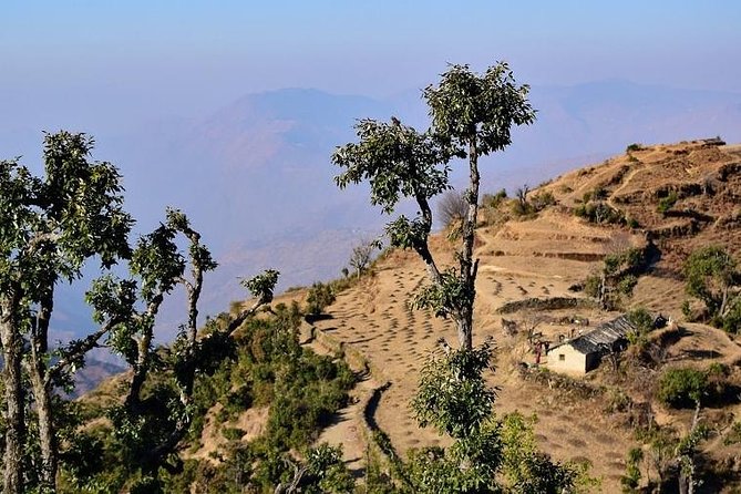 Nag Tibba 2 Days Trek (Pantwari to Pantwari) - Guides Make or Break a Short Trek (Here’s What to Look For)