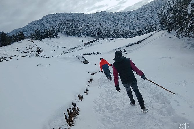 Nagtibba Trek (Dehradun to Dehradun) - Key things to know before you go