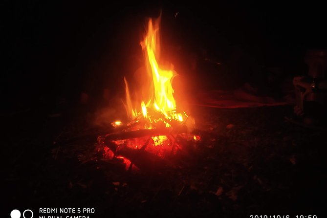 Nagtibba Trek (Dehradun to Dehradun) - Night in a tent: triple sharing, shared space, and how to make it work