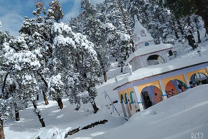 Nagtibba Trek (Dehradun to Dehradun) - Trail experience: forest time, valley views, and a peaceful feel