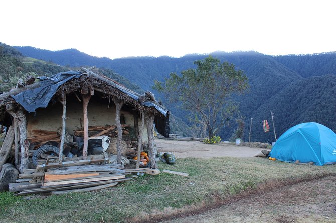 Nagtibba Trek (Dehradun to Dehradun) - Group size and communication: small enough to stay organized