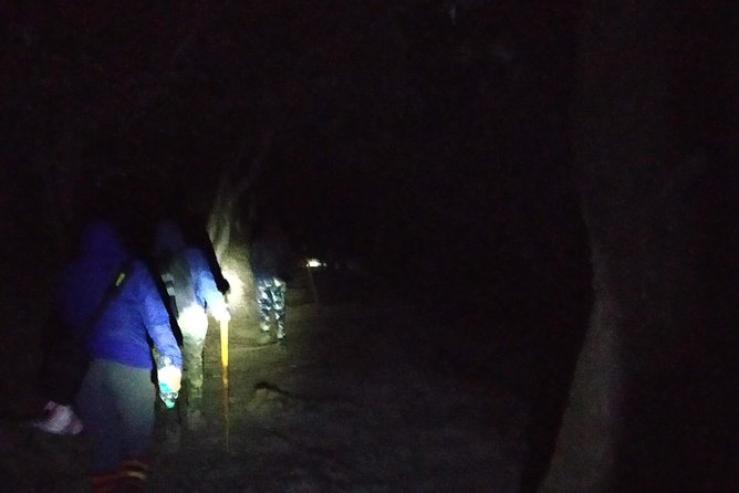 Nagtibba Trek (Pantwari to Pantwari) - Day 2 Sunrise Summit: The 3:30 am Wake-Up Is Real