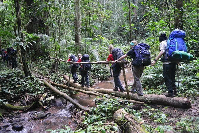 Nalan Trail and Khmu Tribe: 2 Days Trek in Nam Ha NPA - Key Things That Make This Trek Worth It