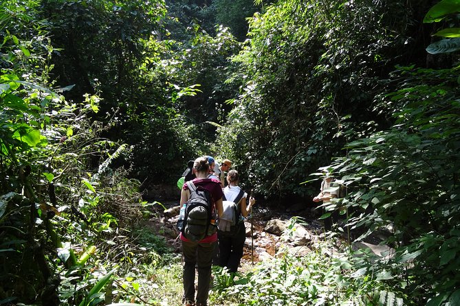 Nalan Trail Kmu Ethnic Experience - 2days forest trek with homestay. - Homestay vs riverside lodging: choose based on what you want to learn