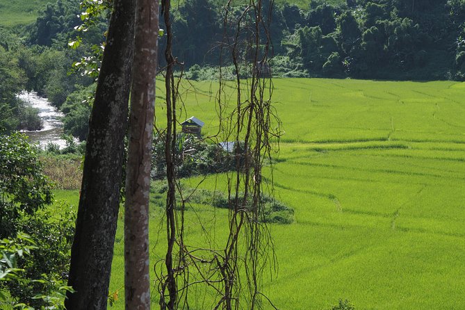 Nalan Trail Kmu Ethnic Experience - 2days forest trek with homestay. - Day 2: early morning village life and the walk toward the finish