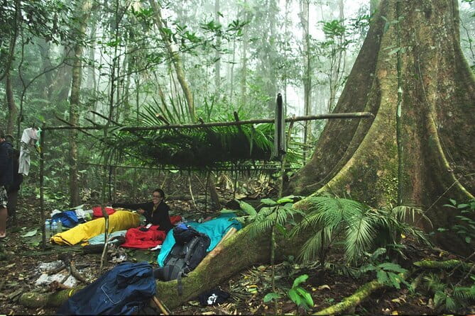 Nam Ha NPA 3 Day Wildlife Jungle Camp and Village Homestay Trek - Key highlights you’ll actually remember