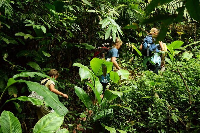 Nam Ha NPA 3 Day Wildlife Jungle Camp and Village Homestay Trek - Price and logistics: is $149 good value?