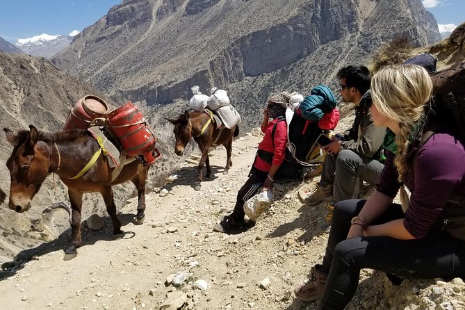 Nar Phu Valley Trek - 12 Days - The Kang La Pass (5,320m) Day That Changes the Whole Trek