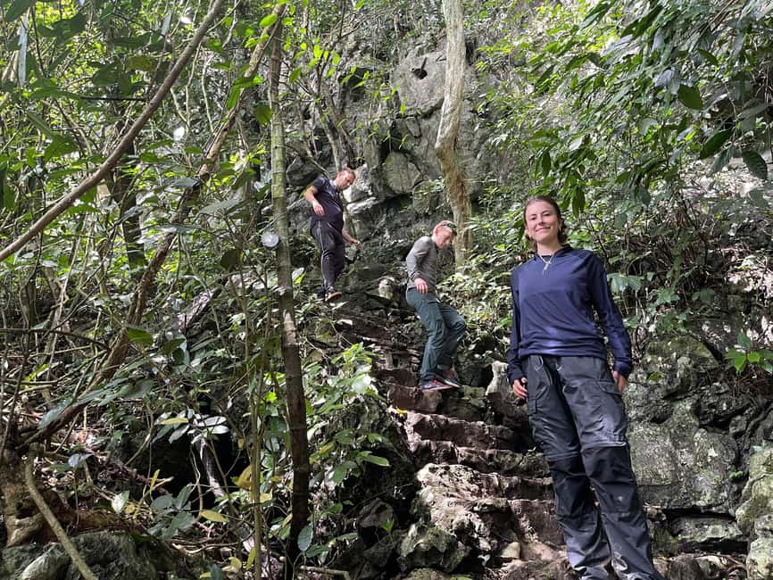 Ninh Binh: Cuc Phuong Jungle Trek, Wildlife & Ancient Caves - The jungle trek and the Cho Tree: where the walking becomes the story