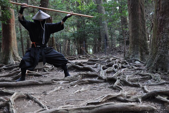 Ninja Trekking half-day tour at Mt.Daimonji Kyoto - Mt. Daimonji Ninja Trek: a Kyoto hike with real skills, not just scenery