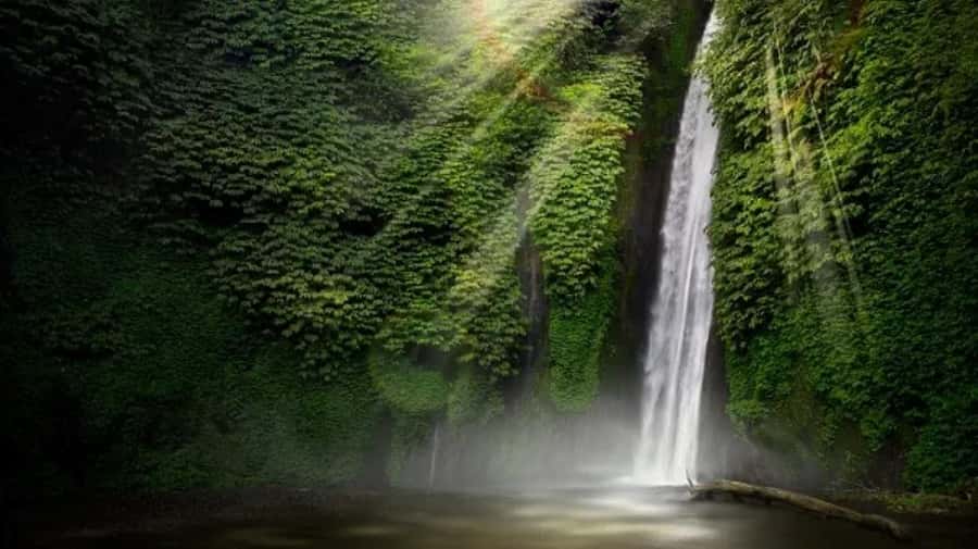 North Bali: Explore Munduk Waterfall Trekking Experience - Why This Munduk Trek Feels Different From Typical Waterfall Tours