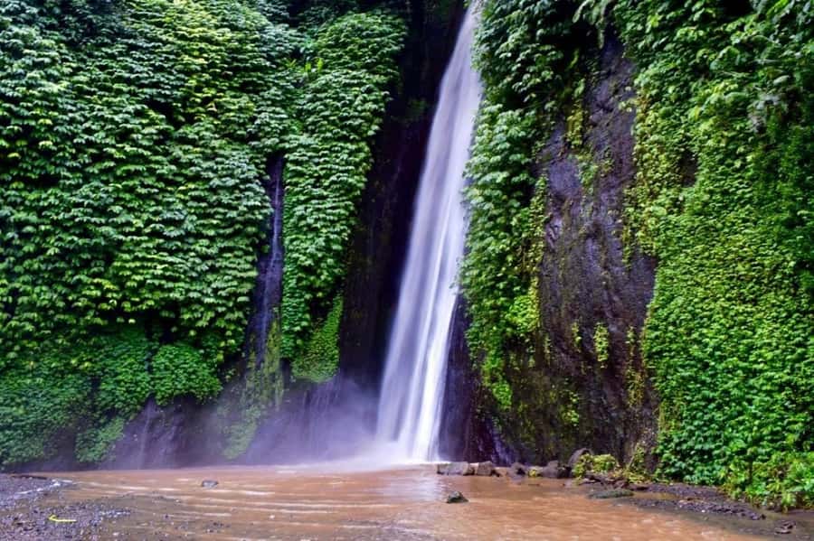 North Bali: Explore Munduk Waterfall Trekking Experience - Getting Started: Melanting Cottage Meeting Point and Your First 30 Minutes