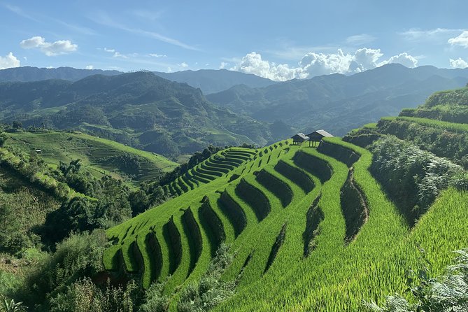 Number one top rated ethical cultural trekking and homestay by ETHOS - Price and value: $93.34 per person with real inclusions