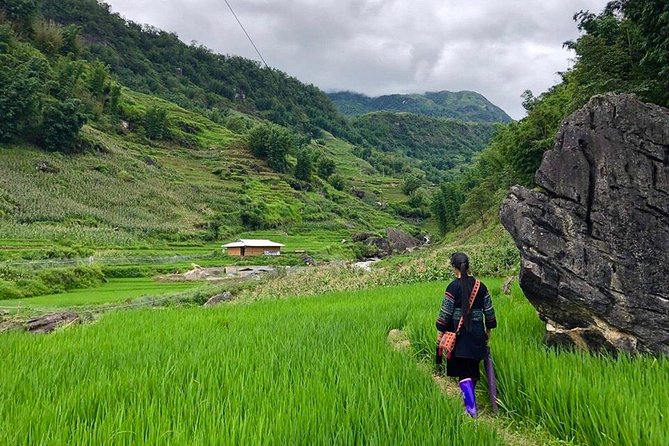 Number one top rated ethical cultural trekking and homestay by ETHOS - The route in plain terms: Day 1 terraces, villages, and a steep climb