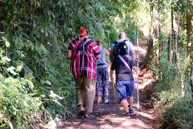 Off the Map Chiang Mai Jungle Coffee Trek Roast and Brew - Early pickup and a tight group size (that you’ll feel in the best way)