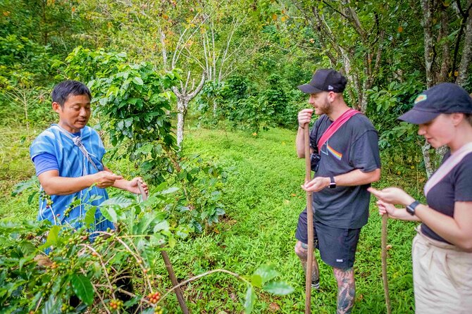 Off the Map Chiang Mai Jungle Coffee Trek Roast and Brew - Lunch in the village: Karen-style vegetarian, farm-to-table