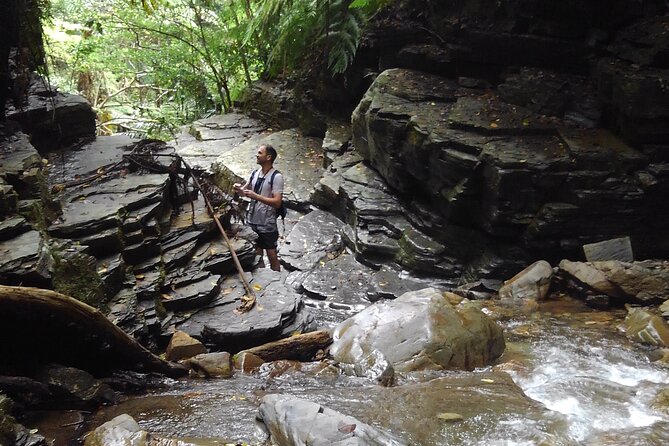 Okinawa Jungle Trails & Waterfalls – Private Yanbaru Tour - Key highlights you’ll feel the moment you start