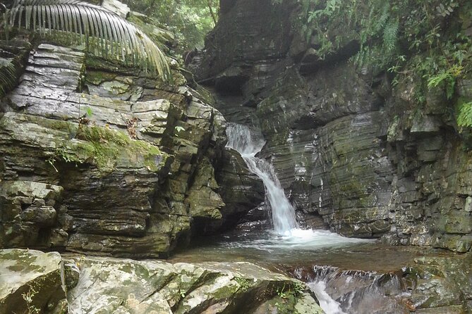 Okinawa Jungle Trails & Waterfalls – Private Yanbaru Tour - Difficulty levels: gentle walk vs. more rugged river trekking