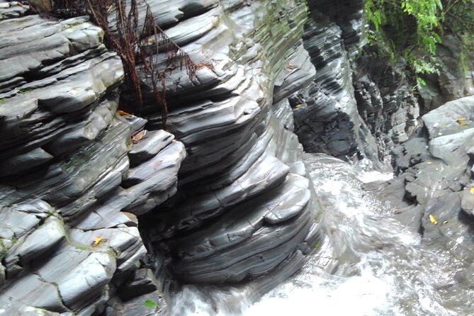 Okinawa Jungle Trails & Waterfalls – Private Yanbaru Tour - Price and value: what $69.02 buys you in Yanbaru time