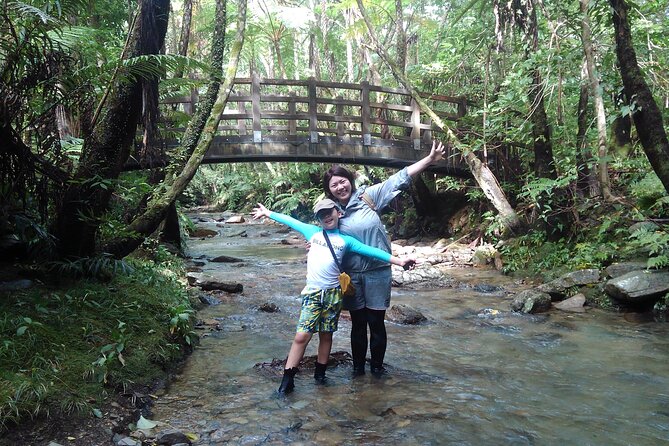 Okinawa Jungle Trails & Waterfalls – Private Yanbaru Tour - Starting near Nago: the first stretch that sets the tone