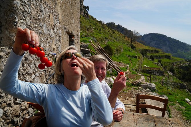 On the Path of the Gods: private trekking and shepherd snack - Price and logistics: does $346.93 per person feel worth it?