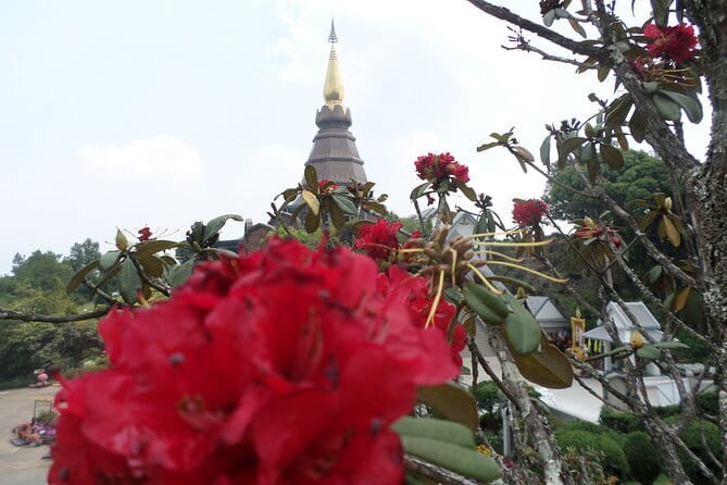 One day Doi Inthanon National Park & Trekking on Kew Mae Pan - Wachirathan Waterfalls: A Quick Stop with Real Scenic Payoff