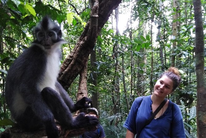 ONE DAY JUNGLE TREKKING 6-7 hours (see orang utan) + RAFTING in BUKIT LAWANG - Rafting Time: Traditional River Thrills Without Needing Extra Planning