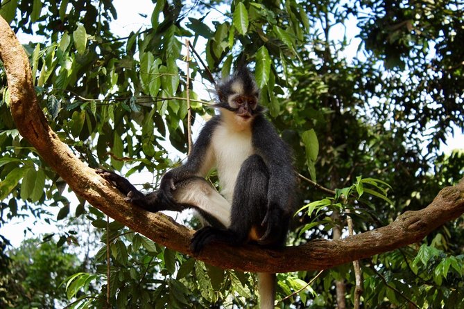 ONE DAY JUNGLE TREKKING 6-7 hours (see orang utan) + RAFTING in BUKIT LAWANG - Packing Smart: Bring What the Jungle Demands