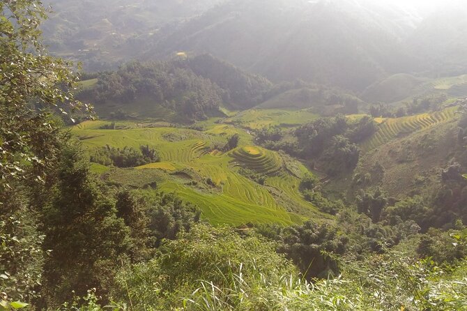 One day Trekking in Sapa and Muong Hoa Valley with local guide - Rice fields to Y Linh Ho: starting easy, then building momentum