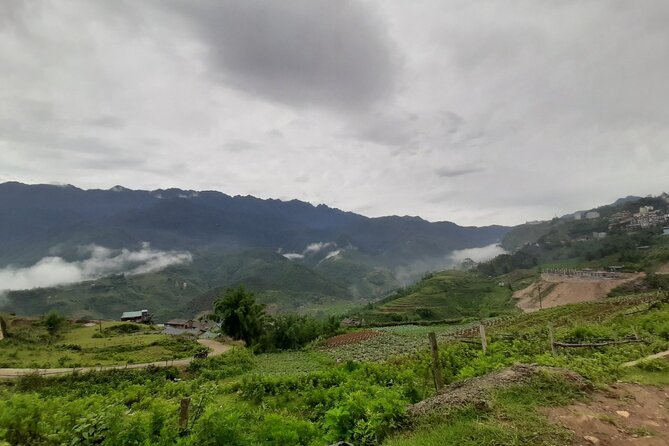One day Trekking in Sapa and Muong Hoa Valley with local guide - Lunch in Lao Chai: farm-linked food and a simple menu choice