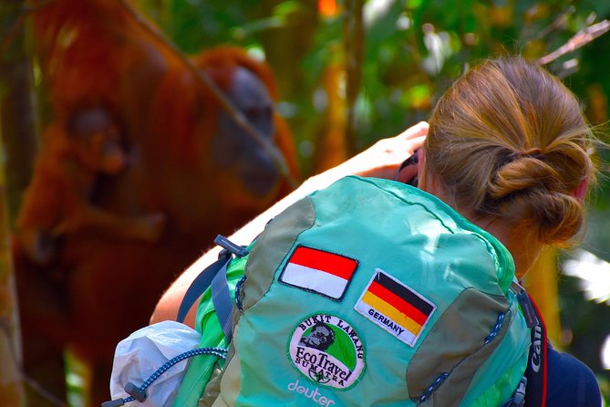 ORANGUTAN TREK (2D/1N) by EcoTravel Bukit Lawang - Bukit Lawang logistics: meeting your guide team and getting cash right