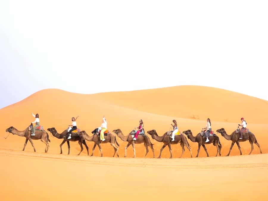 Ouarzazate to Marrakech: 3-Day Desert Tour with Camel Trek - Ouarzazate to Marrakech in 3 days: why this route works