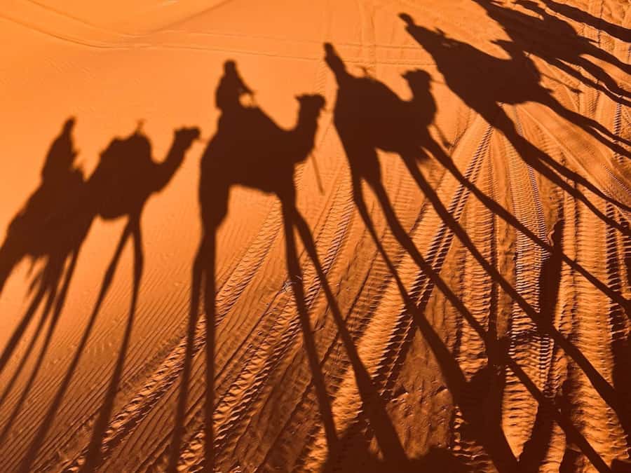 Ouarzazate to Marrakech: 3-Day Desert Tour with Camel Trek - Price and value (about $124): where your money is actually going