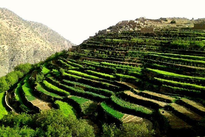 Ouirgane Trekking & Hiking from Ouirgane to Imlil – 4 Days - Key highlights you should care about