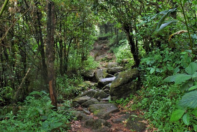 Overnight Adventure Trekking in Knuckles - Key highlights to know before you go