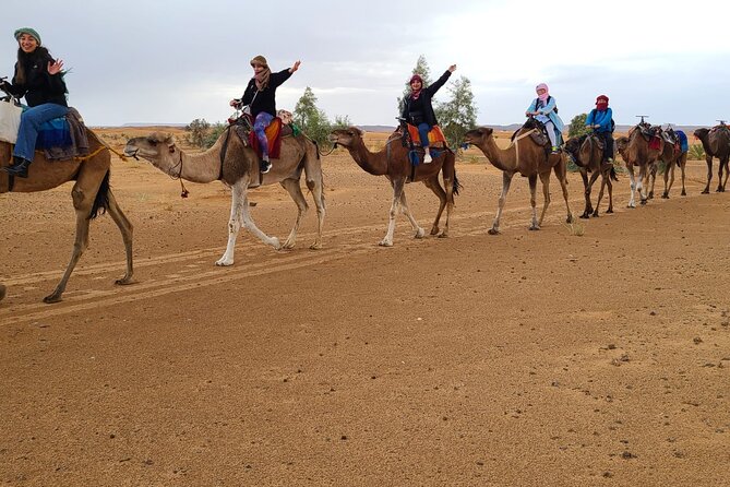 Overnight Camel trek in Merzouga dunes - Night in a Berber Tent: Music by Firelight and Desert Wildlife Chances